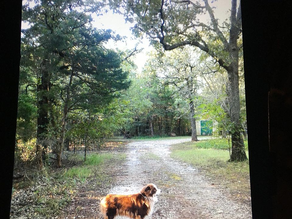 Driveway-House sits on 3 secluded acres