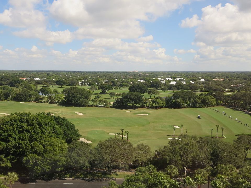 View From Our Dining Room