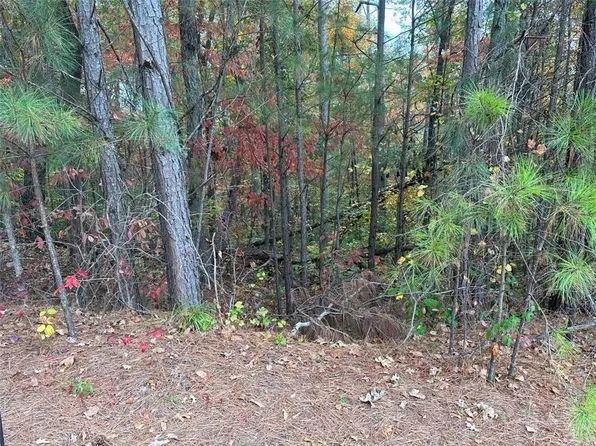 431 Spring Lake Hls #40, White, GA 30184