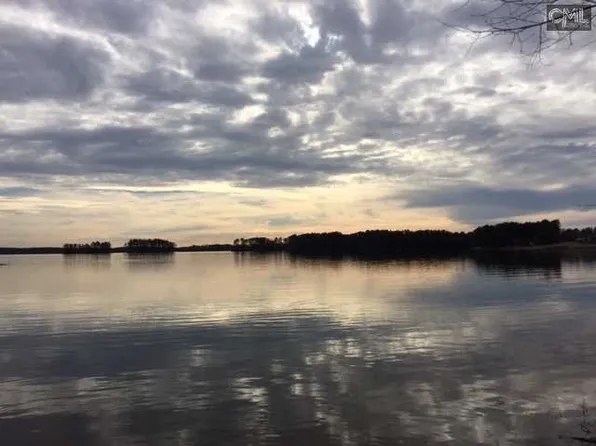 319 Osprey Lake Dr, Chapin, SC 29036