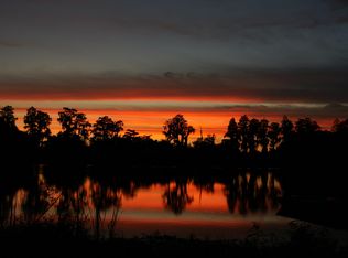 18110 Burrell Rd, Odessa, FL 33556