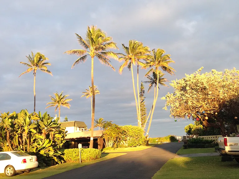 Kaiholu Pl — Photo 23