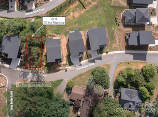 313 Iron Ridge Loop #16, Asheville, NC 28806