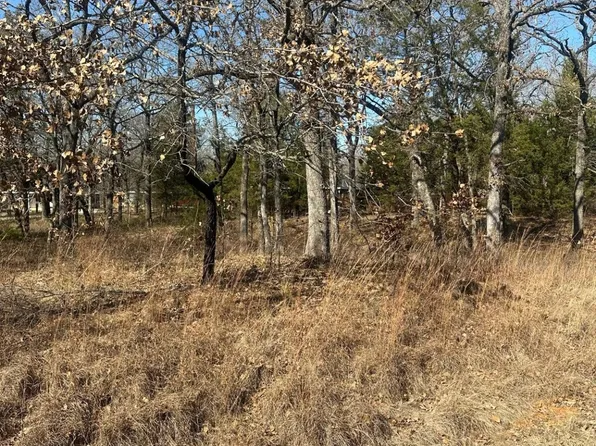 176 Oak Trail St, Gun Barrel City, TX 75156