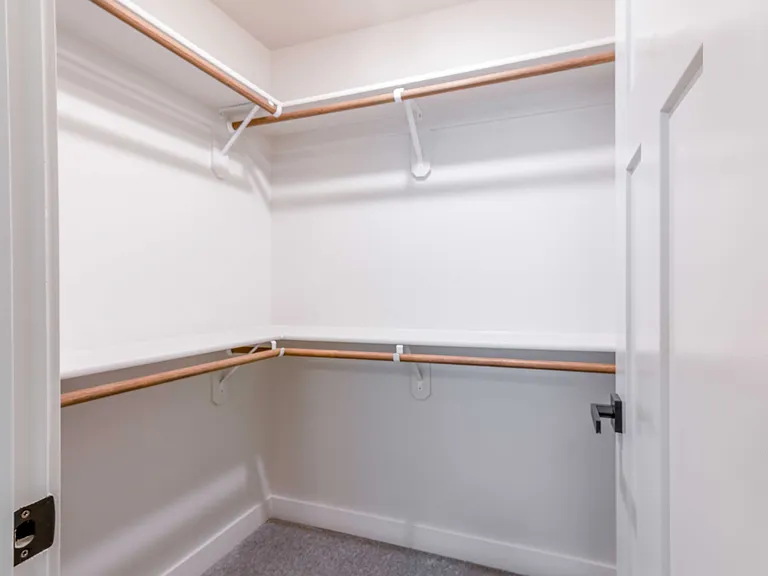 Expansive Closets with custom built-ins