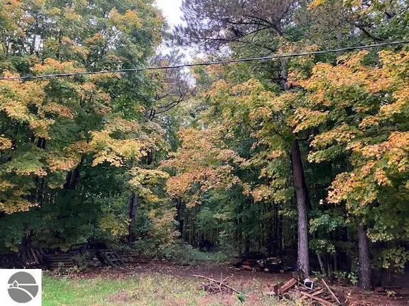 4680 W County Line Rd, Buckley, MI 49620