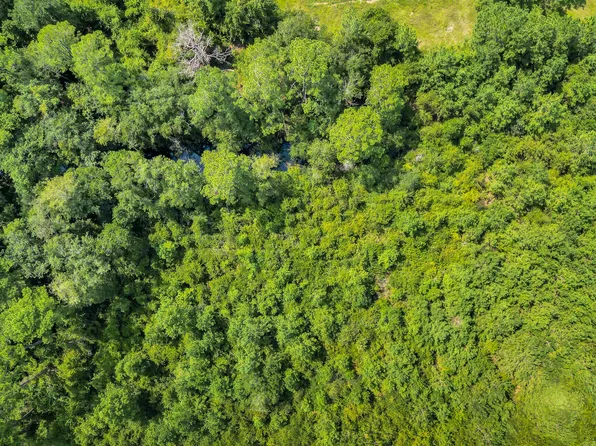 TRACT 3 Bay Rd, Blackshear, GA 31516