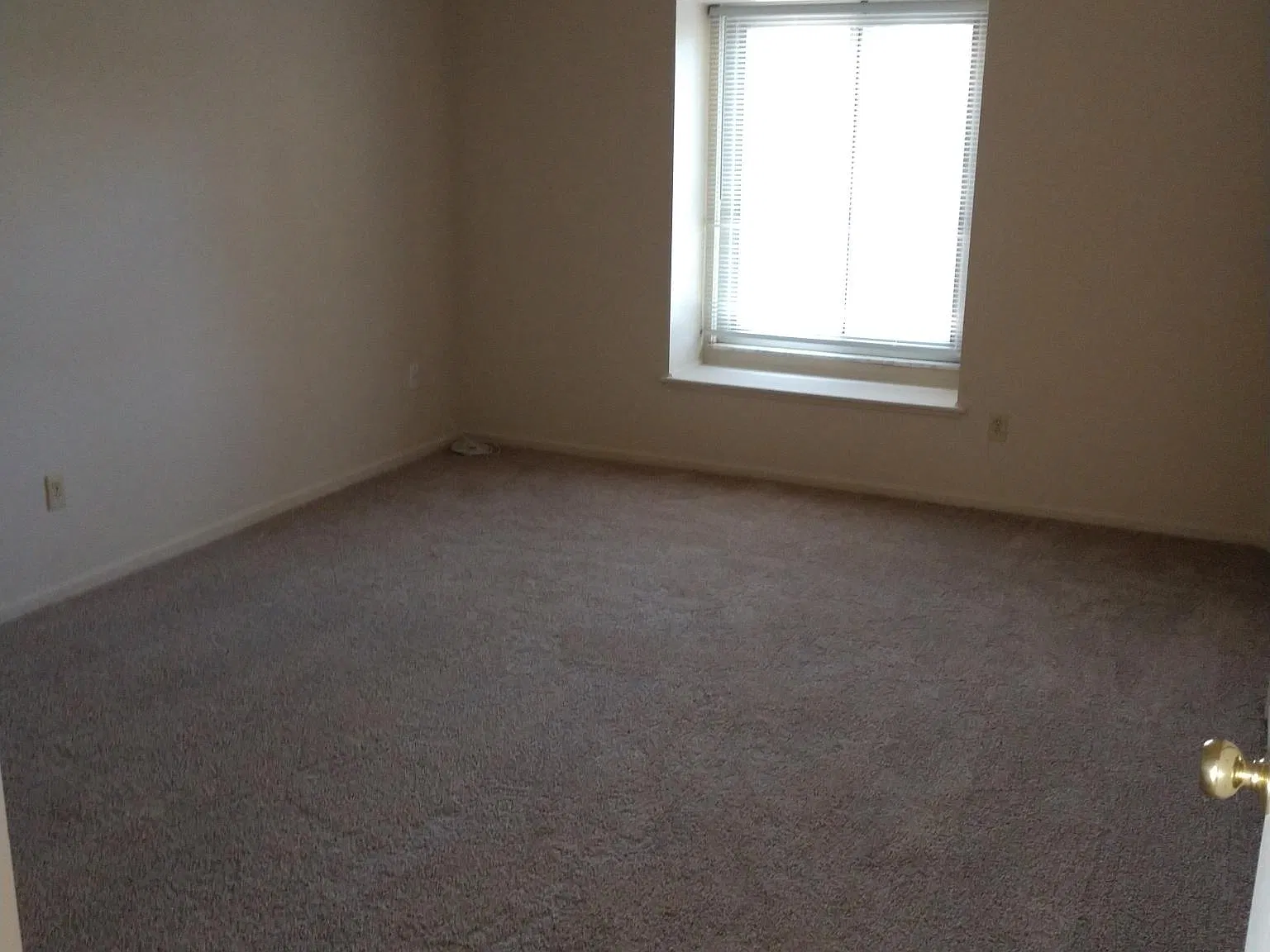 2 bed, 1.5 bath, $1,139 — Photo 4
