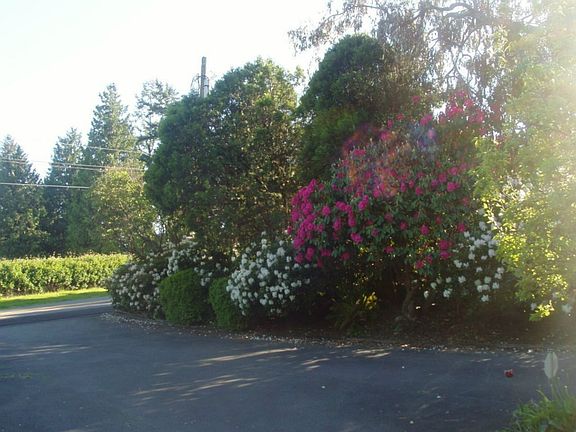 3rd image of 5434 Hyada Blvd NE