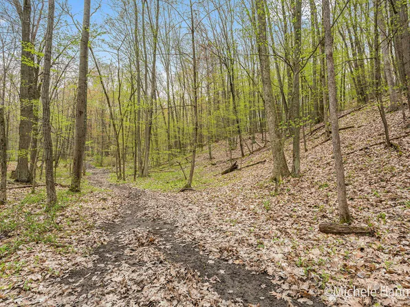 PARCEL 3 Glenn Clay Ct, Freeport, MI 49325