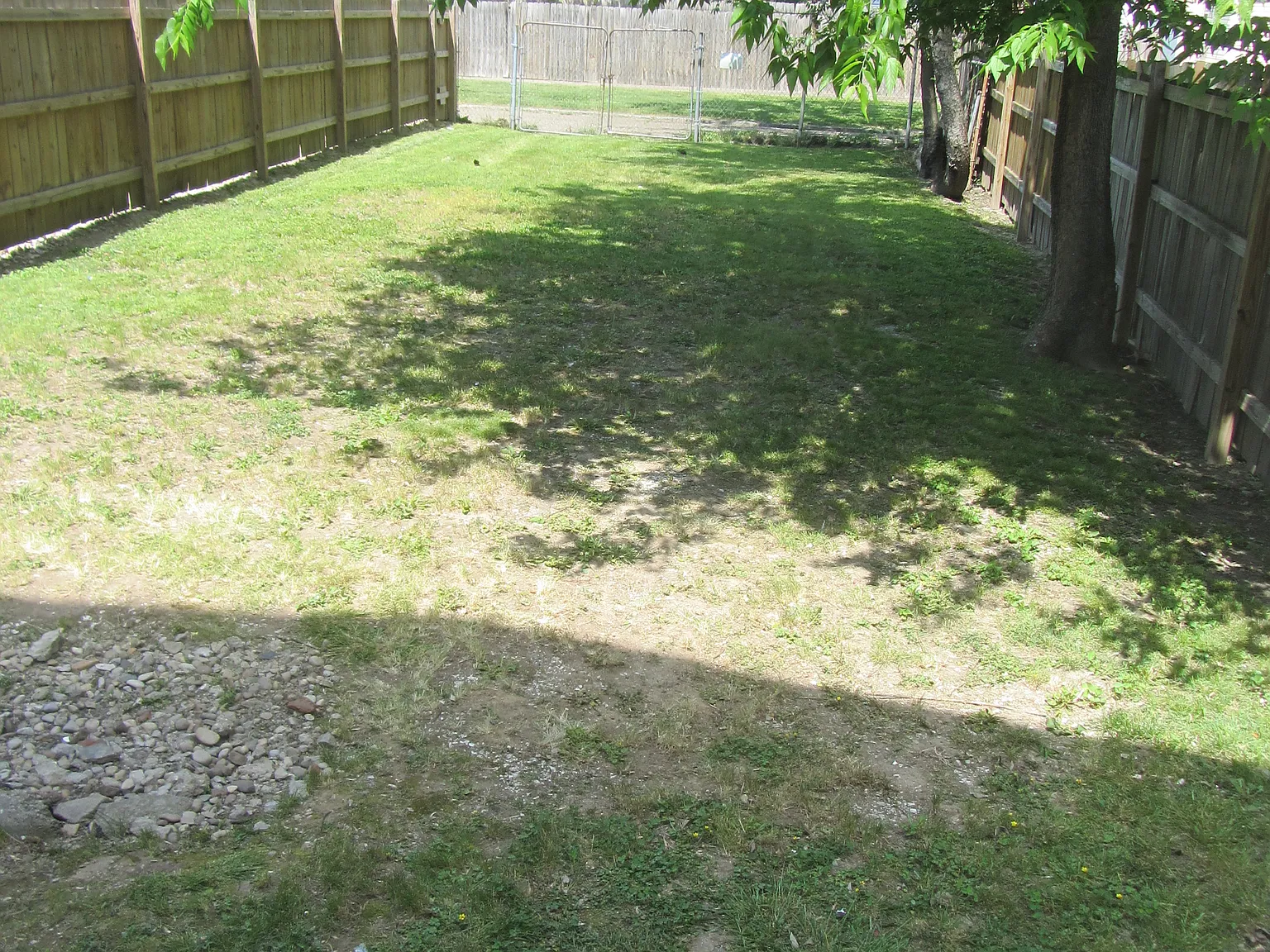 2 bed, 1000 sqft, $1,150 — Photo 4