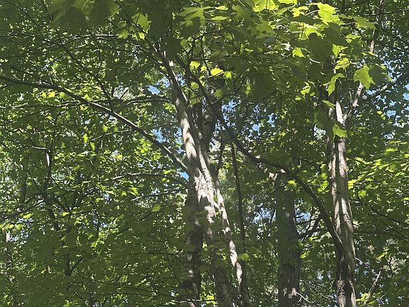 4th image of Lot 1 271st Street