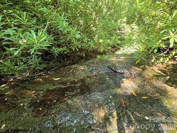 5th image of 100/101 Ellicott Gap