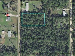 1853 Rosewood St, Bunnell, FL 32110