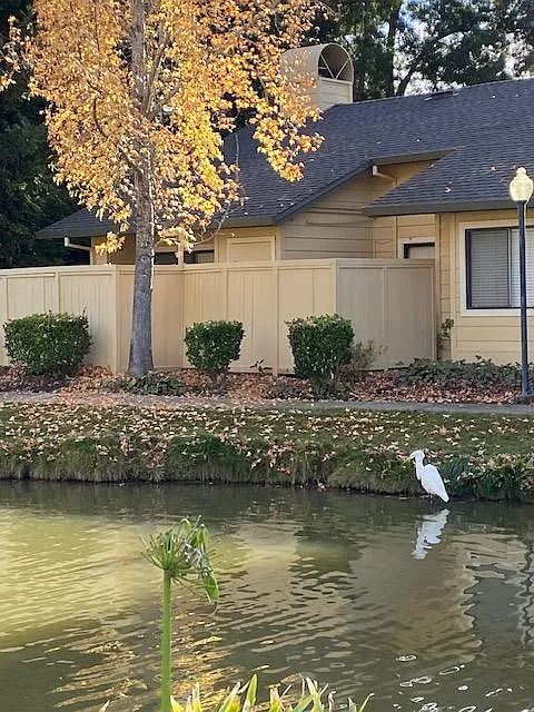 2 bed, 964 sqft, $2,400 — Photo 4