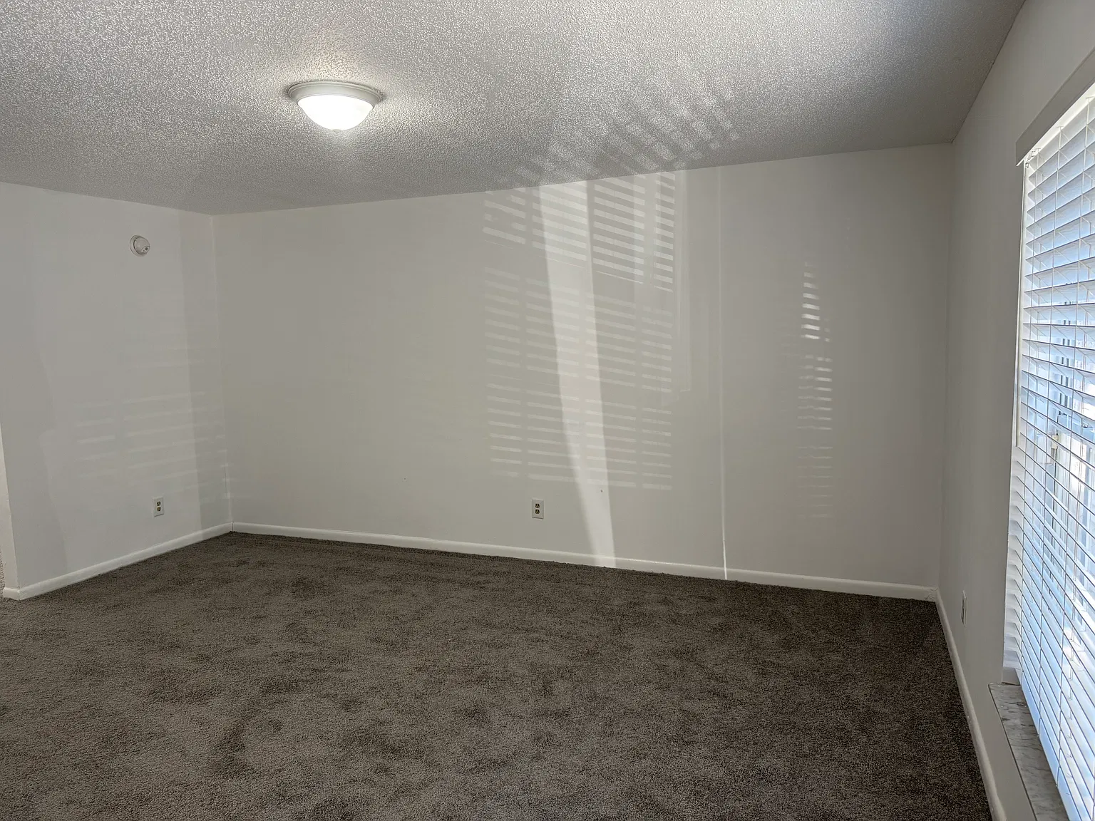 3 bed, 2.5 bath, 1368 sqft, $1,595 — Photo 4