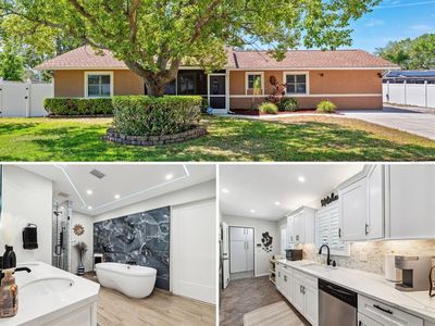 506 Spring Tree Ct, Tarpon Springs, FL, 34689