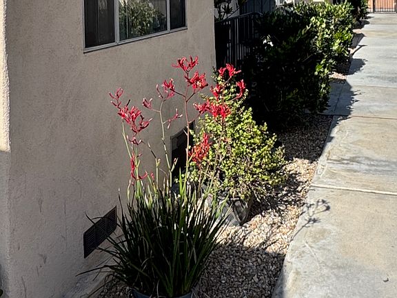 5th image of 233-243.5 N Olive Ave #237.5