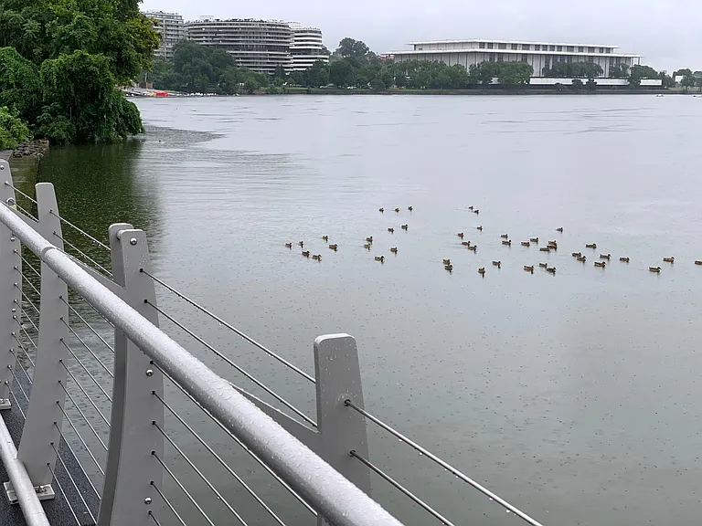 Potomac River with view of Kennedy Center. About 8 blocks from property.