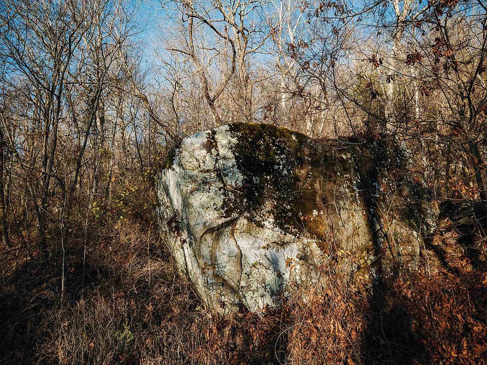 16th image of this home