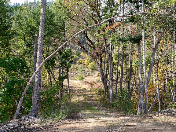 2nd image of 0 Savage Creek Rd #303