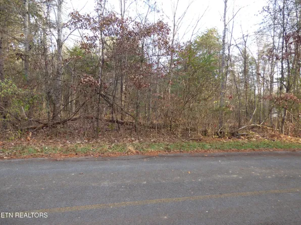 0 Cove Ln Lot 1022, White Pine, TN 37890