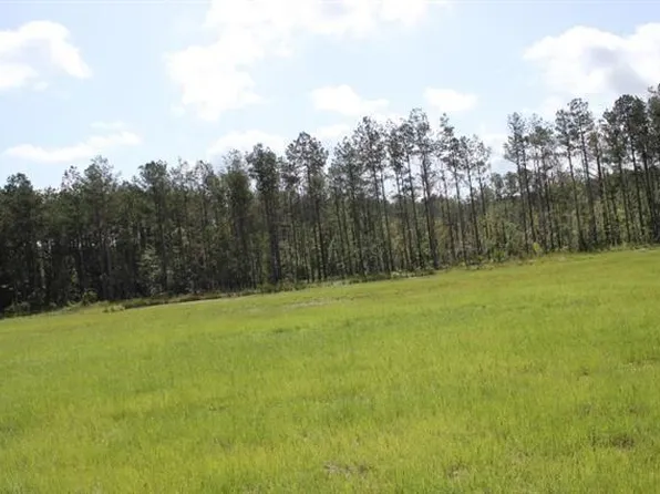 29644 Billy Joe Rd, Independence, LA 70443