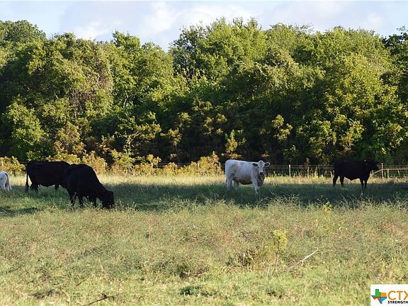 4th image of 686 County Road 333