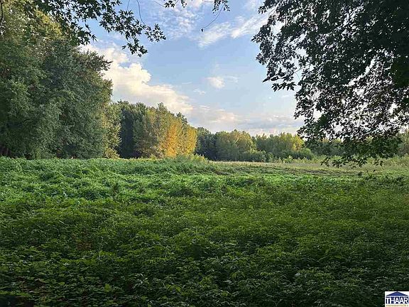 4th image of W Levy Rd
