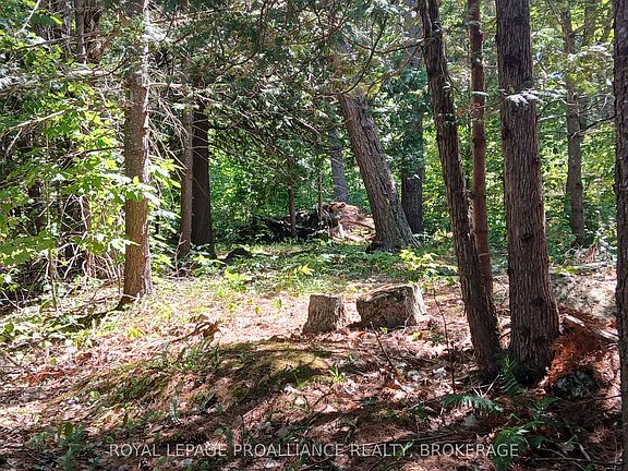 3rd image of 1050 Lodge Ln