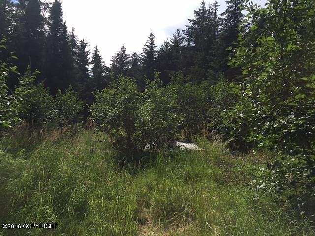 2nd image of L90 Gunnysack Mine Rd