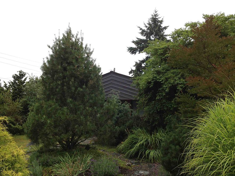 1st image of 7001 31st Ave NE