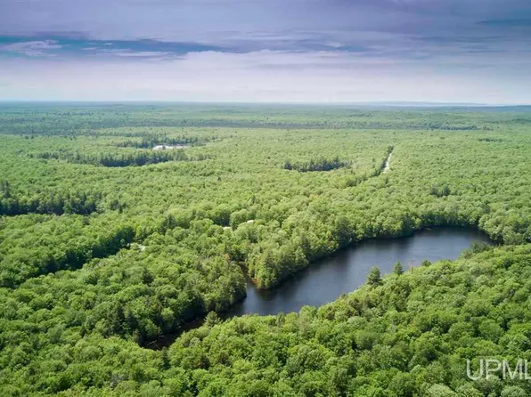 0 H Rd #58, Shingleton, MI 49884