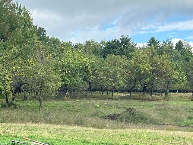 2nd image of 0 Clark Hill Rd