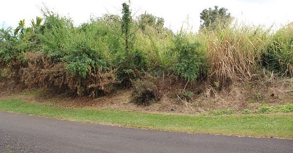 1st image of 1549 Kaupili Pl Lot 10