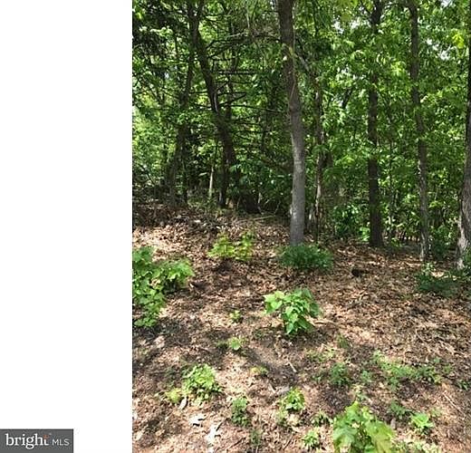 2nd image of 808 Erial Rd