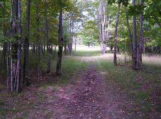 0 Gott Rd, Richmondville, NY 12149