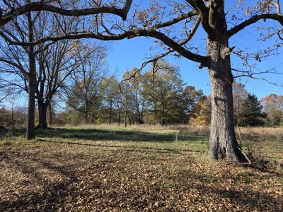 1280 Walnut Grove Rd, Newark, AR, 72562