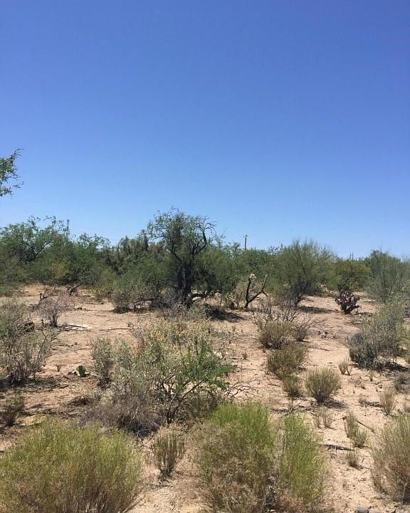 2nd image of 4435 W Camino Del Paloma