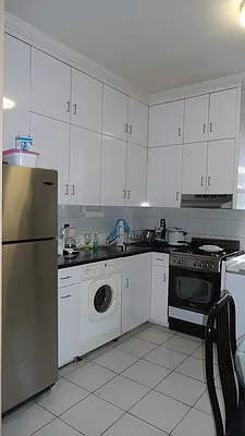 Rented by Manhattan Flats | media 6