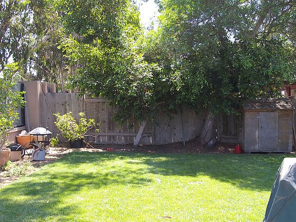 back yard
