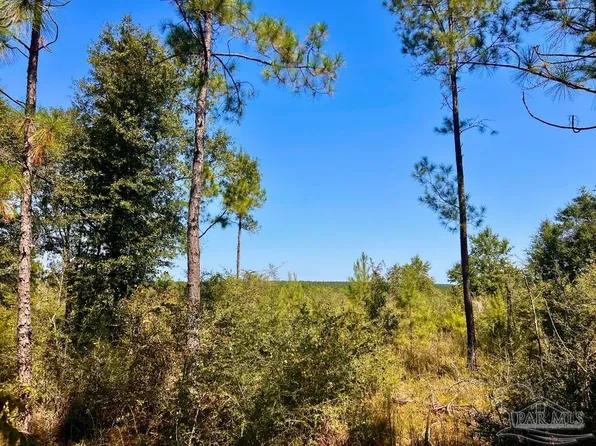 6 Saunders Ln, Molino, FL 32577