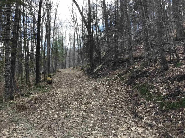 00 Williamstown Road, Washington, VT 05675