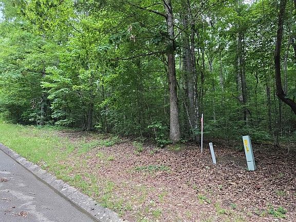 2nd image of 138 Lower Brow Rd Lot 138