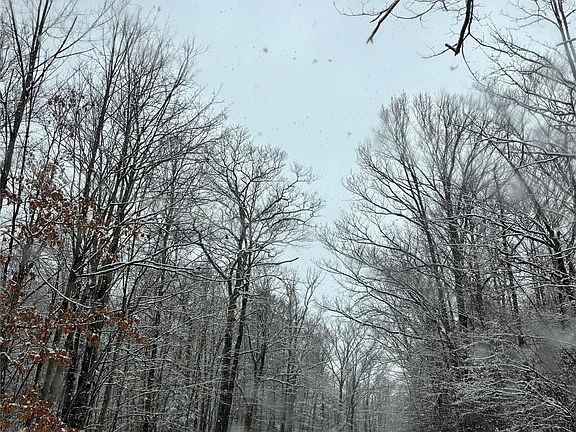 3rd image of 249 Kolb Rd