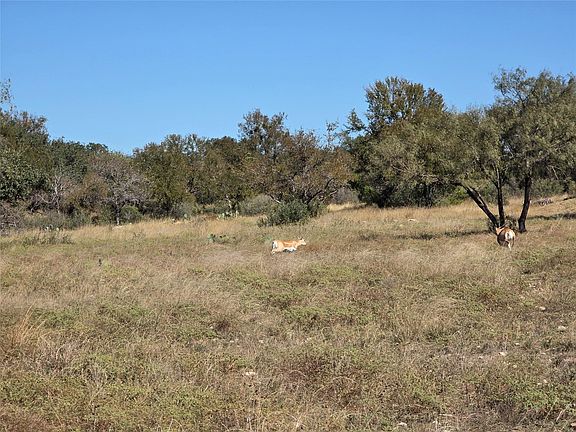 3rd image of LOT 74 Bluff View Rd