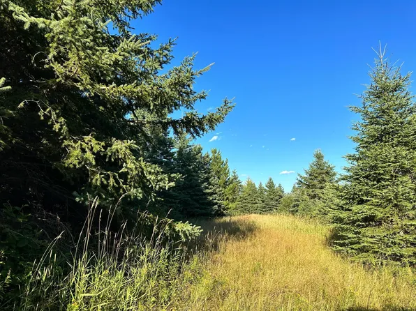 8282 County Road 30, Big Falls, MN 56627