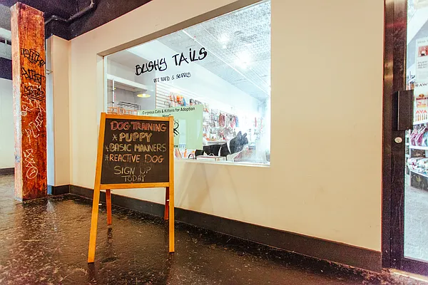 Rented by Simply Brooklyn Realty Inc | media 30