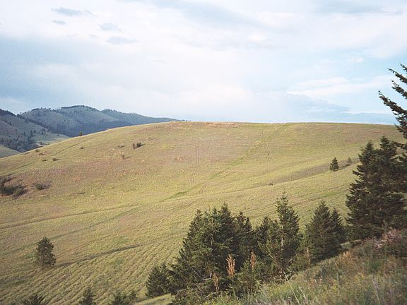 3rd image of 407 Spanish Peaks Dr