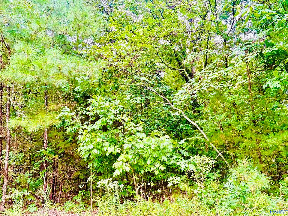4752 Indian Hills Rd SE, Decatur, AL 35603 MLS 21842580 Zillow